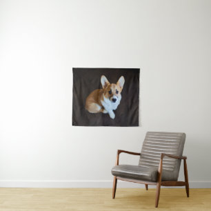 Niedliche Kleintiere   Corgi Sucht nach oben Wandteppich