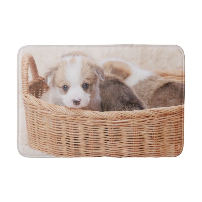 Niedliche Kleintiere | Corgi Tiny Puppy Badematte (Vorderseite)