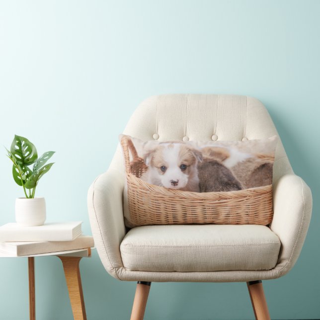Niedliche Kleintiere | Corgi Tiny Puppy Lendenkissen (Stuhl )