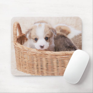 Niedliche Kleintiere Corgi Tiny Puppy Mousepad