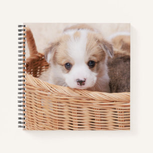 Niedliche Kleintiere   Corgi Tiny Puppy Notizbuch