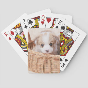 Niedliche Kleintiere Corgi Tiny Puppy Spielkarten