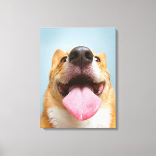 Niedliche Kleintiere Corgi Tongue Leinwanddruck