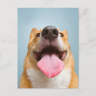 Niedliche Kleintiere Corgi Tongue Postkarte