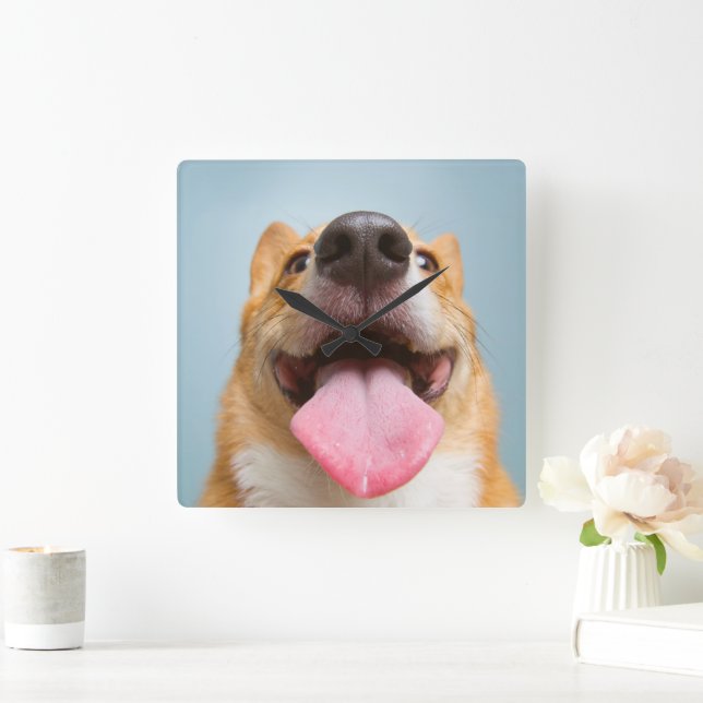 Niedliche Kleintiere | Corgi Tongue Quadratische Wanduhr (Zuhause)