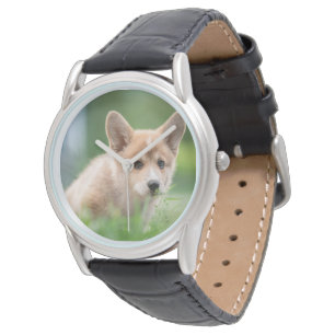 Niedliche Kleintiere Corgi Welpe im Garten Armbanduhr
