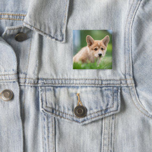 Niedliche Kleintiere Corgi Welpe im Garten Button
