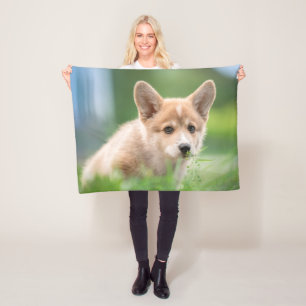 Niedliche Kleintiere   Corgi Welpe im Garten Fleecedecke