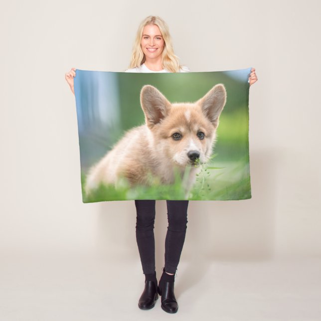 Niedliche Kleintiere | Corgi Welpe im Garten Fleecedecke (Beispiel)