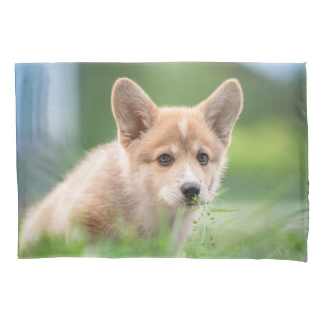 Niedliche Kleintiere | Corgi Welpe im Garten Kissenbezug (Vorderseite)