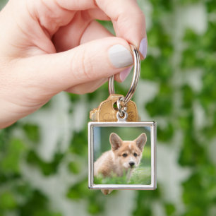 Niedliche Kleintiere   Corgi Welpe im Garten Schlüsselanhänger