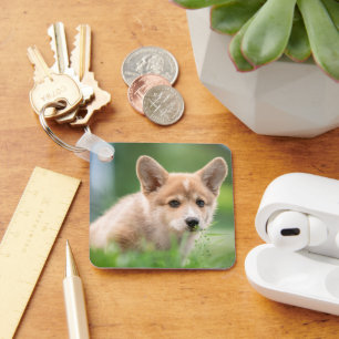Niedliche Kleintiere Corgi Welpe im Garten Schlüsselanhänger