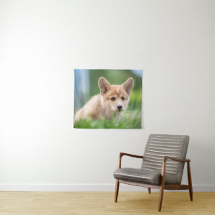 Niedliche Kleintiere   Corgi Welpe im Garten Wandteppich
