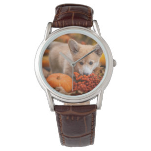 Niedliche Kleintiere Corgi Welpe im Herbst Armbanduhr