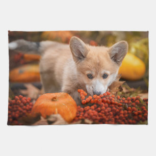 Niedliche Kleintiere   Corgi Welpe im Herbst Geschirrtuch