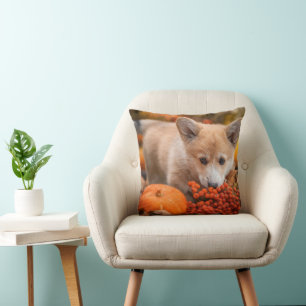 Niedliche Kleintiere   Corgi Welpe im Herbst Kissen