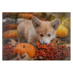 Niedliche Kleintiere Corgi Welpe im Herbst Schneidebrett