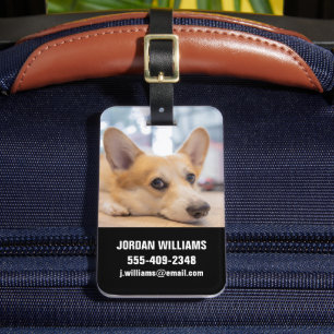 Niedliche Kleintiere Corgi Welppy auf Floor Gepäckanhänger