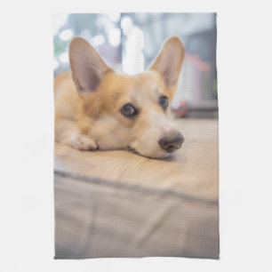 Niedliche Kleintiere Corgi Welppy auf Floor Geschirrtuch