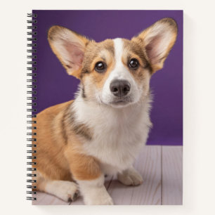 Niedliche Kleintiere Corgi Welppy auf Lila Notizbuch