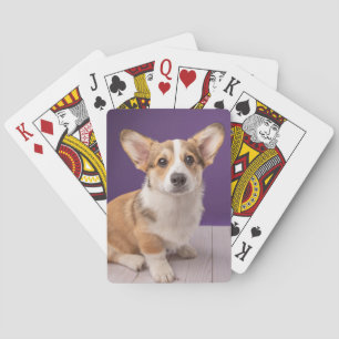 Niedliche Kleintiere Corgi Welppy auf Lila Spielkarten