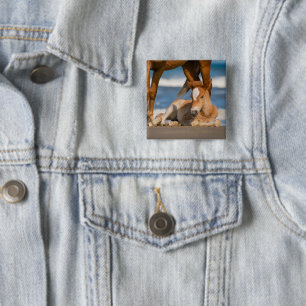 Niedliche Kleintiere Corolla Wild Horse Button