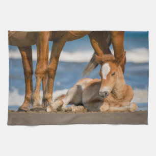 Niedliche Kleintiere Corolla Wild Horse Geschirrtuch