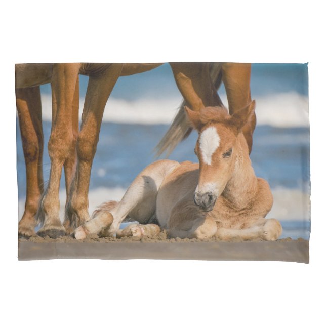 Niedliche Kleintiere | Corolla Wild Horse Kissenbezug (Vorderseite)
