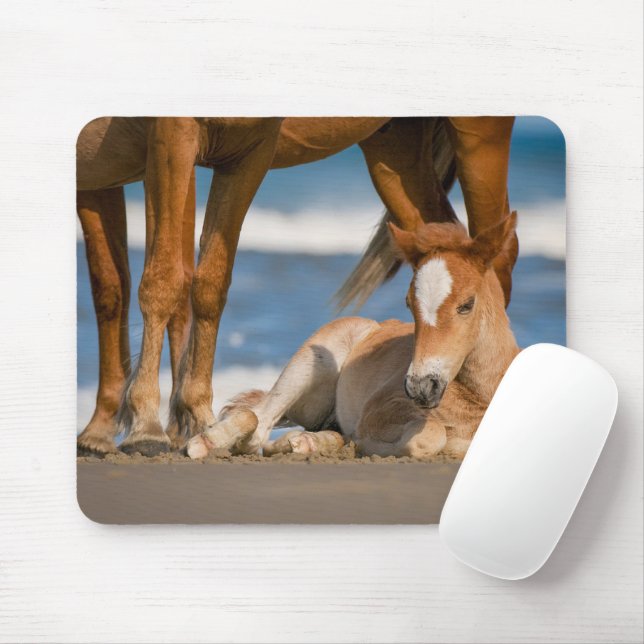 Niedliche Kleintiere | Corolla Wild Horse Mousepad (Mit Mouse)