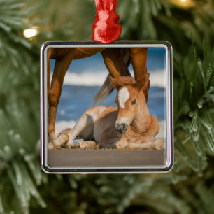 Niedliche Kleintiere   Corolla Wild Horse Ornament Aus Metall
