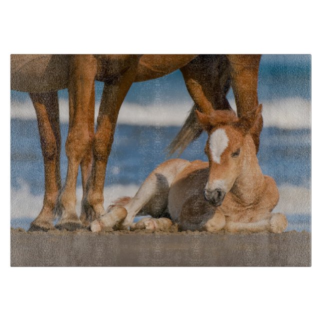 Niedliche Kleintiere | Corolla Wild Horse Schneidebrett (Vorderseite)