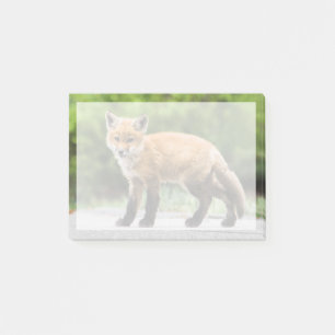 Niedliche Kleintiere   Cutey Fox Post-it Klebezettel