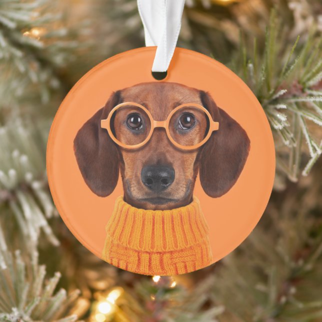 Niedliche Kleintiere | Dackel Orange Sweater Ornament (Baum)