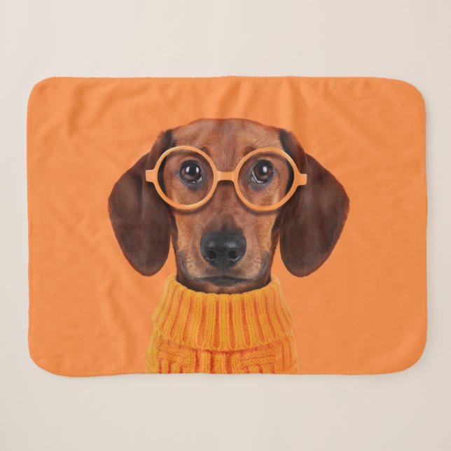 Niedliche Kleintiere | Dackel Orange Sweater Sherpadecke (Vorderseite (Horizontal))