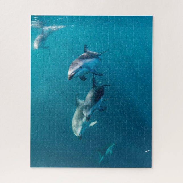 Niedliche Kleintiere | Dolphin-Familie (Vertikal)