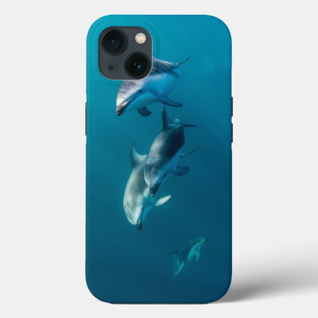 Niedliche Kleintiere | Dolphin-Familie Case-Mate iPhone Hülle (Rückseite)