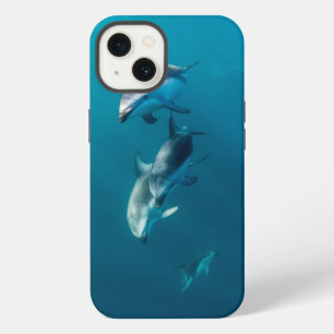 Niedliche Kleintiere Dolphin-Familie iPhone Hülle
