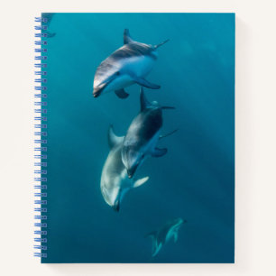 Niedliche Kleintiere   Dolphin-Familie Notizbuch