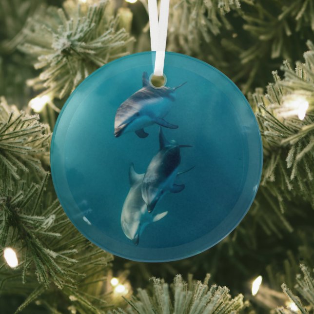 Niedliche Kleintiere | Dolphin-Familie Ornament Aus Glas (InSitu)
