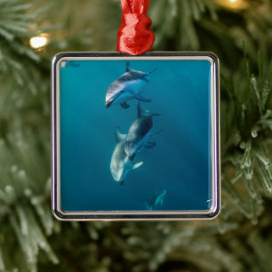 Niedliche Kleintiere   Dolphin-Familie Ornament Aus Metall