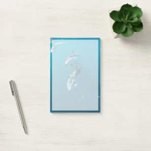 Niedliche Kleintiere   Dolphin-Familie Post-it Klebezettel