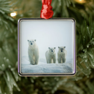 Niedliche Kleintiere Drei junge Polarbären Ornament Aus Metall