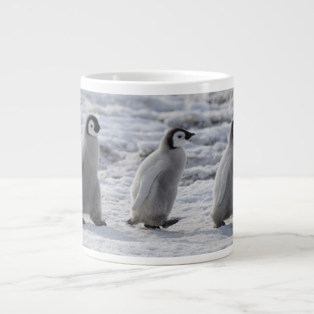 Niedliche Kleintiere | Drei Kaiserpinguin - Chicks Jumbo-Tasse (Vorderseite)