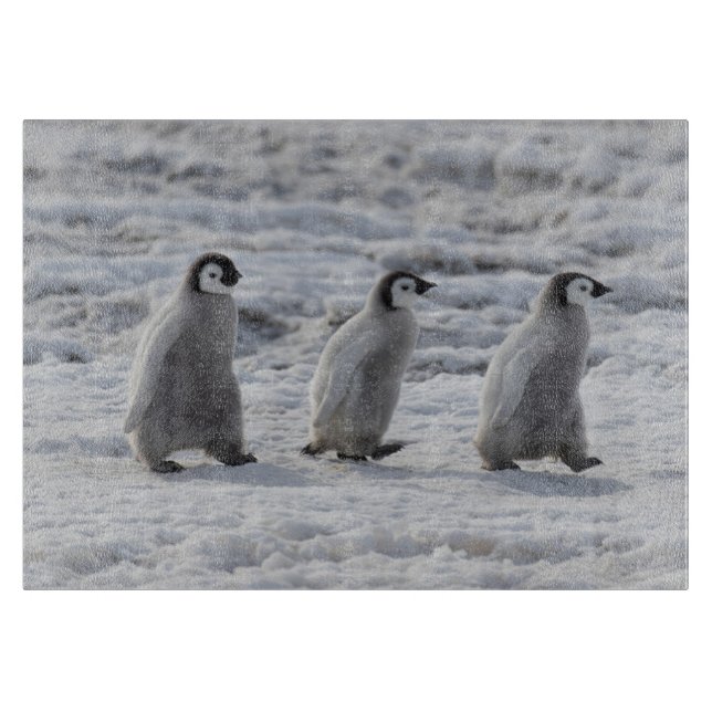 Niedliche Kleintiere | Drei Kaiserpinguin - Chicks Schneidebrett (Vorderseite)