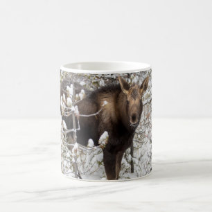Niedliche Kleintiere   Elchkalb Kaffeetasse