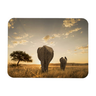 Niedliche Kleintiere Elephant Calf & Mother Magnet