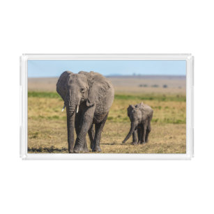 Niedliche Kleintiere   Elephant Mother & Baby Acryl Tablett