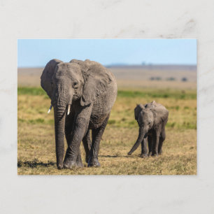Niedliche Kleintiere Elephant Mother & Baby Postkarte