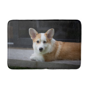 Niedliche Kleintiere Entspannende Corgi Welpe Badematte