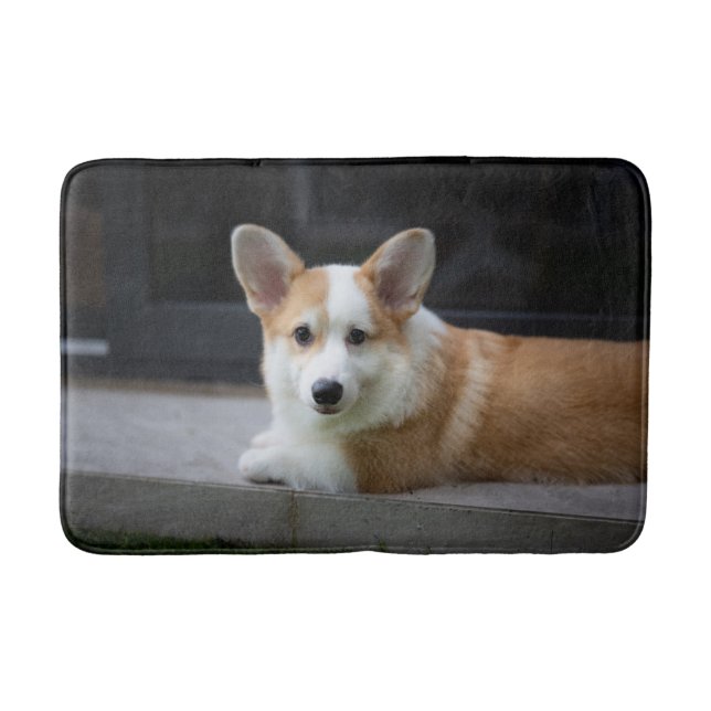 Niedliche Kleintiere | Entspannende Corgi Welpe Badematte (Vorderseite)